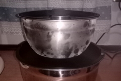 EM-Reviews_Bowls_de_Acero_Inox3783