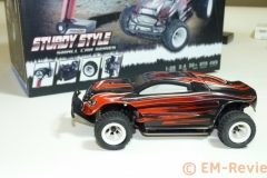EM-Reviews_Coche_RC_4x40829