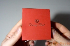 EM-Reviews_Collar_corazon_Hermoso_Amor_Dancing_Heart6302