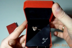 EM-Reviews_Collar_corazon_Hermoso_Amor_Dancing_Heart6303
