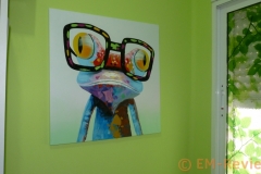 EM-Reviews_Cuadro_Rana1623