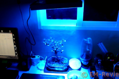 EM-Reviews_Lampara_plantas0856