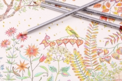 Lapices de colores FUNLAVIE_4