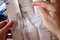 EM-Reviews_Masajeador_Recargable_NURSAL3441