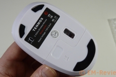 EM-Reviews_Mini_raton_inalambrico_de_viaje_TENMOS5580