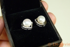 EM-Reviews_Pendientes_B_Catcher2420