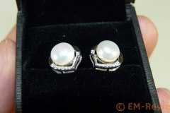 EM-Reviews_Pendientes_B_Catcher2423