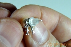 EM-Review_Pendientes_ciervo_de_la_suerte_J_SHINE4536