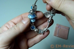 EM-Reviews_Pulsera_Daisy_Bead_de_Charms_Presentski5114