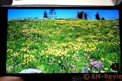 EM-Reviews_Smartphone_Doogee_X7_Pro5098