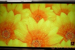EM-Reviews_Smartphone_Libre_CUBOT_NOTE_Plus_4G5448