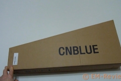 EM-Reviews_Ukelele_Hawai_CNBLUE5341