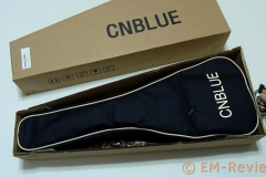 EM-Reviews_Ukelele_Hawai_CNBLUE5345