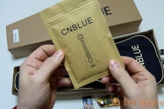 EM-Reviews_Ukelele_Hawai_CNBLUE5347