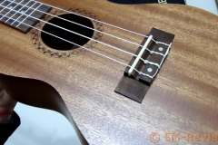 EM-Reviews_Ukelele_Hawai_CNBLUE5353
