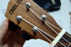 EM-Reviews_Ukelele_Hawai_CNBLUE5354