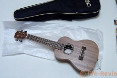 EM-Reviews_Ukelele_Hawai_CNBLUE5357